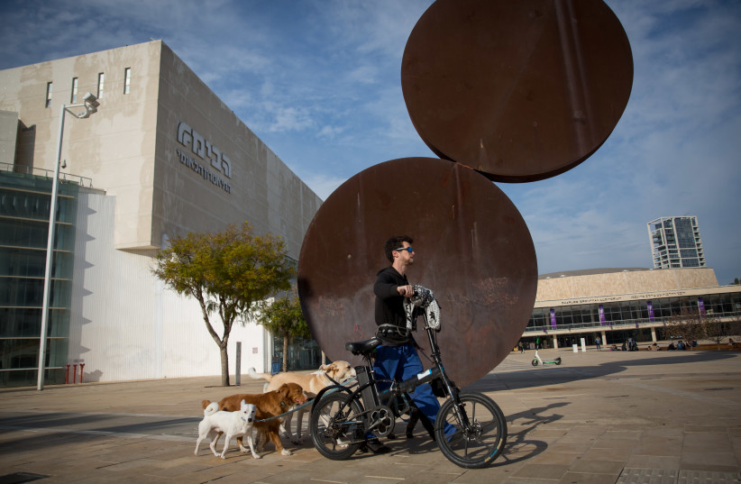 A dogwalker seen leading his bicycle and dogs  on haBima square in Tel Aviv,  January 15, 2020 (photo credit: MIRIAM ALSTER/FLASH90)