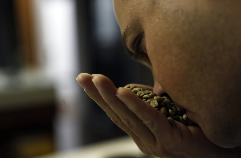 A worker smells coffee beans at Sumatra factory in Esprito Santo do Pinhal, 200 km (124 miles) east of Sao Paulo (photo credit: REUTERS/NACHO DOCE)