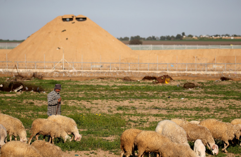 A Palestinian man herds sheep near the Israel-Gaza border fence in the southern Gaza Strip, February 28, 2020 (photo credit: REUTERS/IBRAHEEM ABU MUSTAFA)