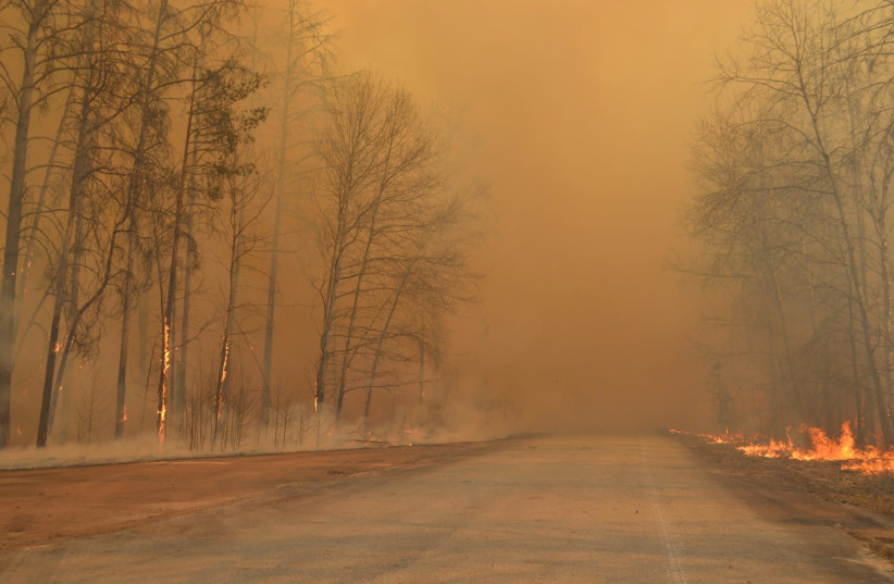 A view shows burning trees and a road covered in heavy smoke in the exclusion zone around the Chernobyl nuclear power plant (photo credit: STATE EMERGENCY SERVICE OF UKRAINE IN KIEV REGION/HANDOUT VIA REUTERS)