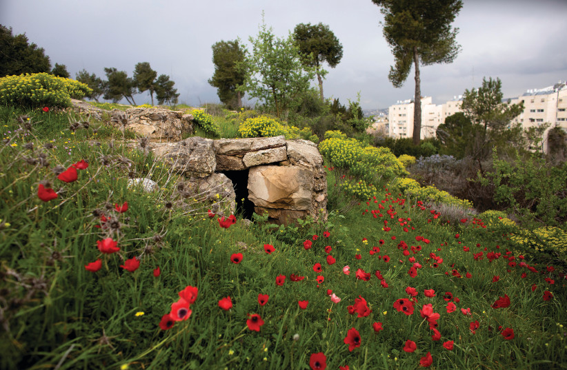 A part of the trench is seen in a former Jordanian military post at Ammunition Hill in Jerusalem. Originally built by the British, the site was captured by Jordan in the 1948-1949 war and held by them until Israeli troops captured it in the 1967 Six Day War.  (photo credit: RONEN ZVULUN/REUTERS)