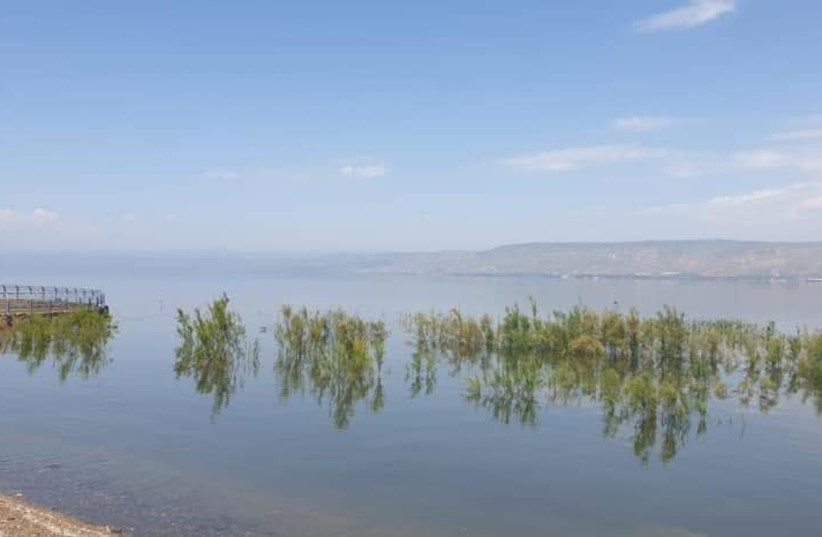 Kinneret water level continues to rise, April 16, 2020 (photo credit: FIRAS TALHAMI/WATER AUTHORITY)