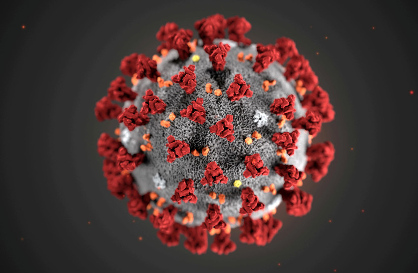 An illustration, created at the Centers for Disease Control and Prevention (CDC), depicts the 2019 Novel Coronavirus (credit: MAM/CDC/HANDOUT VIA REUTERS)