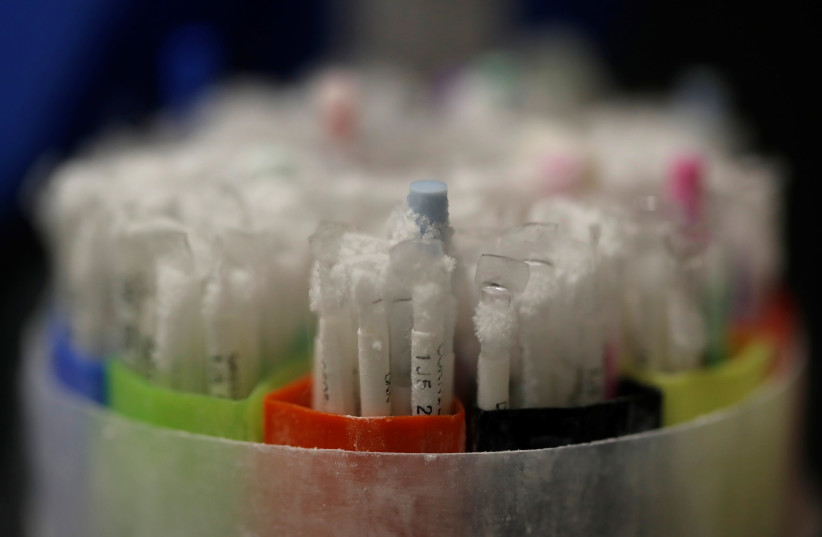 Frozen vials of sperm are seen preserved in an azote cooled container in a laboratory in Paris, France, September 13, 2019 (photo credit: REUTERS)