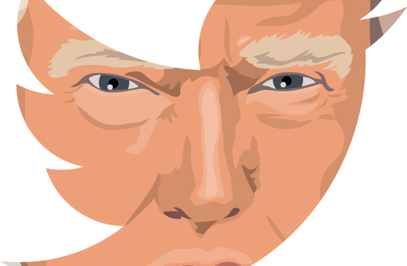 US PRESIDENT TRUMP is not one to hold back on Twitter. (photo credit: PIXABAY)