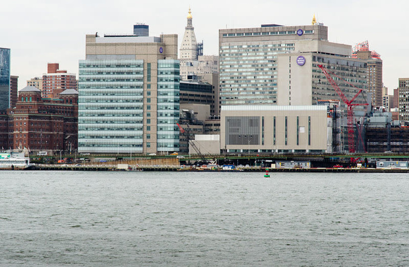 New York University (NYU) Medical Center occupies the north end of Hospital Row on First Avenue, separated from the East River only by the FDR Drive with the Bellevue Psychiatric Hospital on the left. During the storm surge from Hurricane Sandy the hospital suffered extreme damage to its infrastruct (credit: WIKIMEDIA COMMONS/KENNETH WILSEY)