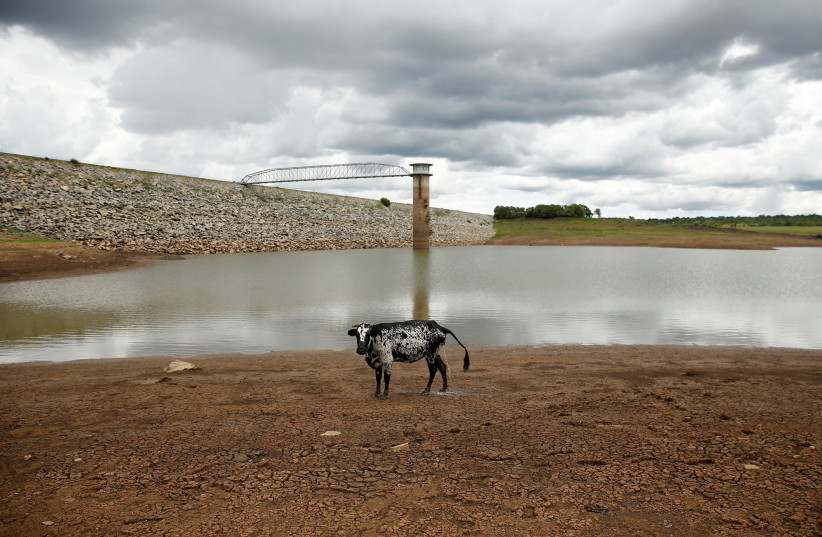 MENA countries should cooperate to overcome water crisis, expert says - Vimarsana News