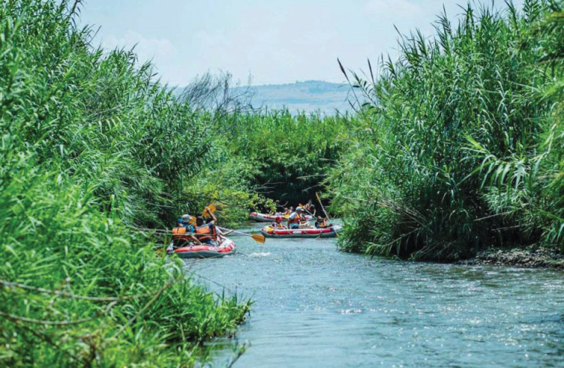 Kayaking on the Jordan River with Abu-Kayak (credit: Courtesy)