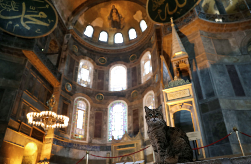 Gli the cat of Hagia Sophia or Ayasofya, a UNESCO World Heritage Site, is pictured at Hagia Sophia in Istanbul, Turkey July 2, 2020 (photo credit: REUTERS/MURAD SEZER)