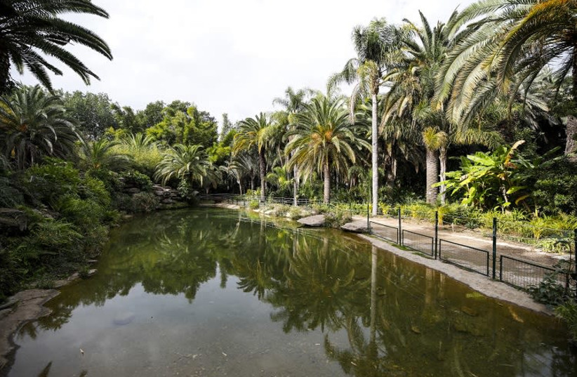 Tropical Gardens in Tel Aviv  (photo credit: KFIR ZIV)