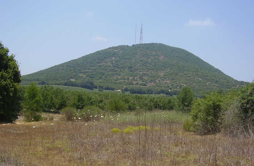 Mount Adir, in the upper Galilee (photo credit: CREATIVE COMMONS)