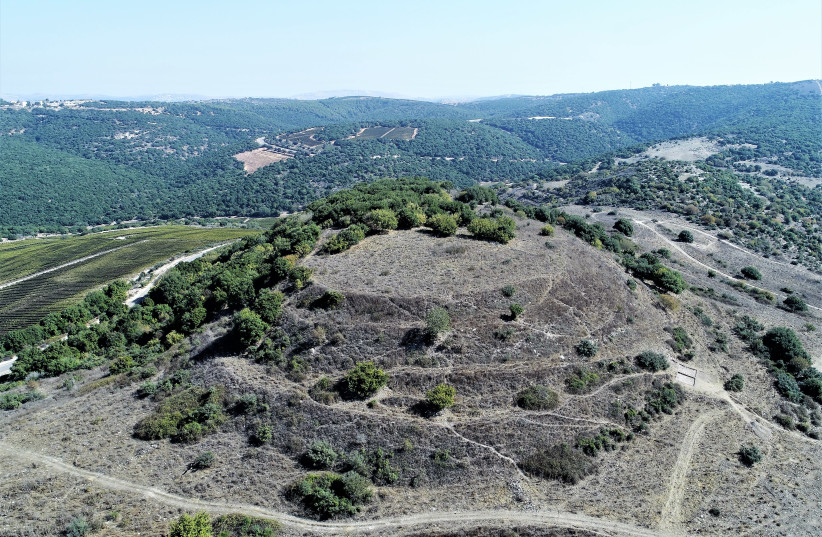 Tel Rosh archaeological site in the Galilee (photo credit: ALEX VEGMAN)