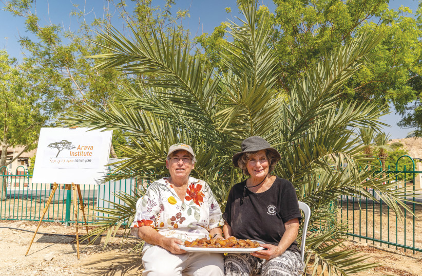 ‘A HONEY or caramel aftertaste.’ Researchers Dr. Elaine Soloway of the Arava Institute for Environmental Studies (left), along with Dr. Sarah Salon of Hadassah Medical Center, moments after picking the dates. (photo credit: MARCOS SCHONHOLZ)