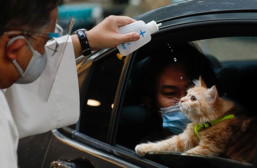 A Catholic priest sprinkles holy water on a cat at a drive-thru pet blessing amid the coronavirus disease (COVID-19) outbreak on World Animal Day, in Eastwood Mall, Quezon City, Philippines, October 4, 2020.  (photo credit: REUTERS/ELOISA LOPEZ)