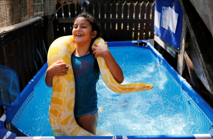Inbar Regev, an eight-year-old Israeli girl, holds her pet python while swimming in her backyard pool in Ge'a, southern Israel October 7, 2020. Picture taken October 7, 2020 (photo credit: REUTERS)