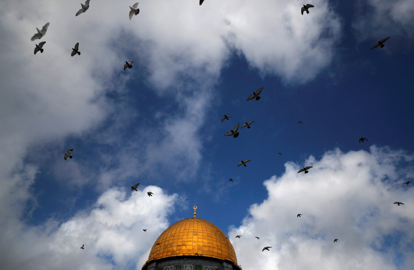 Birds fly over the Dome of the Rock, known to Muslims as Noble Sanctuary and to Jews as Temple Mount, in Jerusalem's Old City (photo credit: REUTERS)