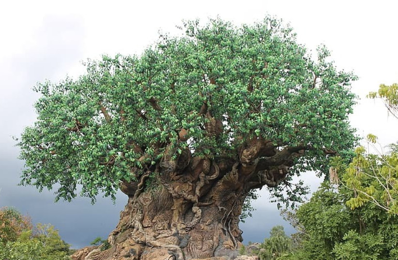 Green bonsai tree (photo credit: PIKREPO)