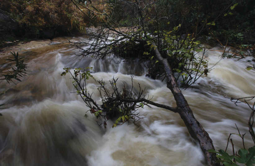 Water flows furiously at Samach River during heavy rains, on the Golan Heights in January.  (photo credit: MAOR KINSBURSKY/FLASH90)