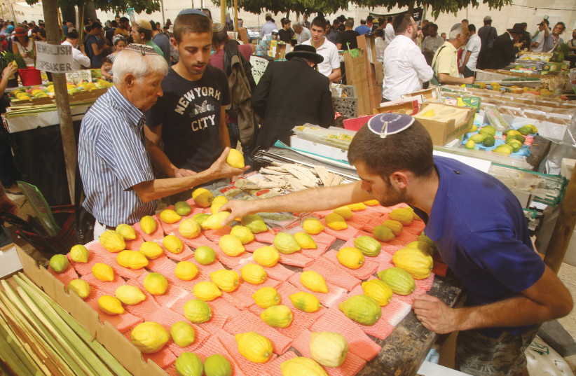 INSPECTING ETROGS at the Mahaneh Yehuda market in Jerusalem.  (photo credit: MARC ISRAEL SELLEM/THE JERUSALEM POST)