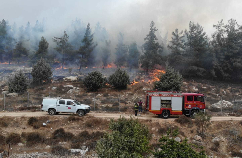 Firefighters work to put out  forest fire which broke out near Migdal Oz on Sunday, 01.11.2020. (photo credit: ISRAEL FIRE AND RESUCE SERVICES)