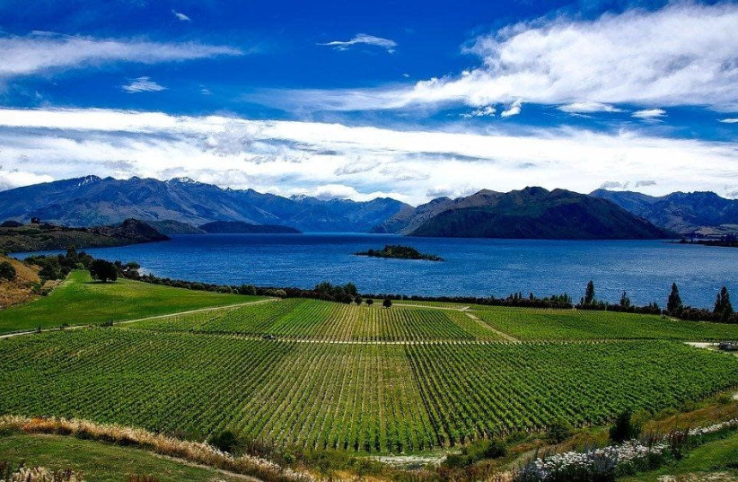 Central Otago, land of valleys and mountains (photo credit: PIXABAY)