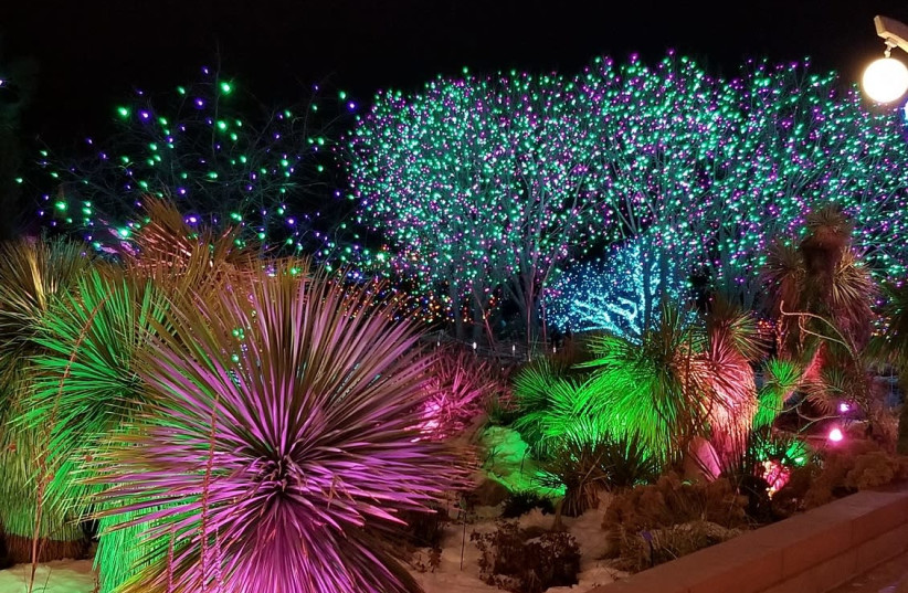 THE WINTER Lights Festival at the Jerusalem Botanical Gardens. (photo credit: SONIA FRENZEL)