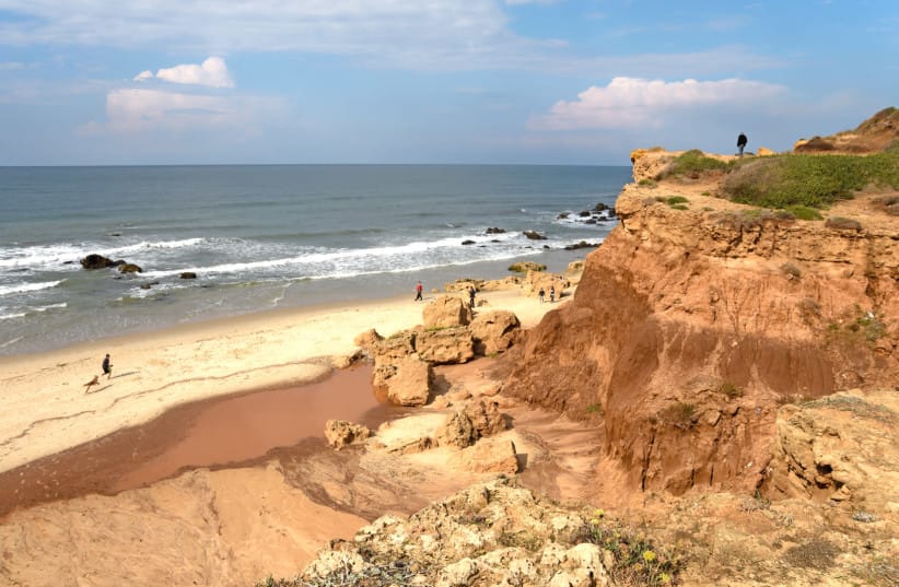 Israel's real estate crisis and the fervor for beachfront property - Vimarsana News