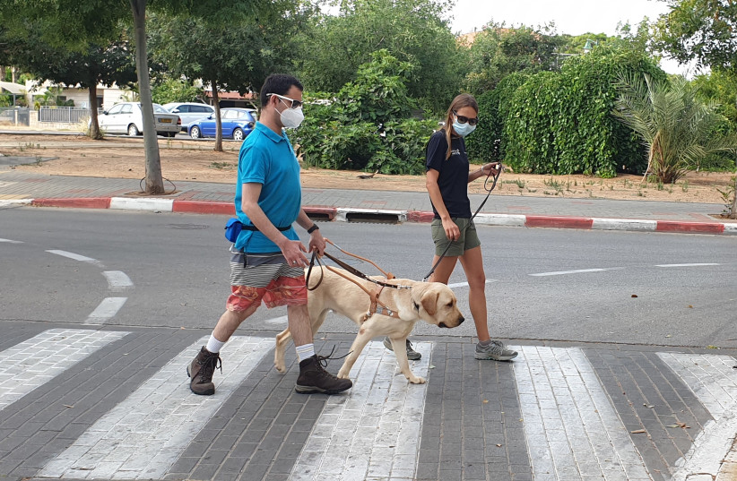 Eldad Davidovich walks with his new guide dog Mirvis together with his trainer (photo credit: Courtesy)