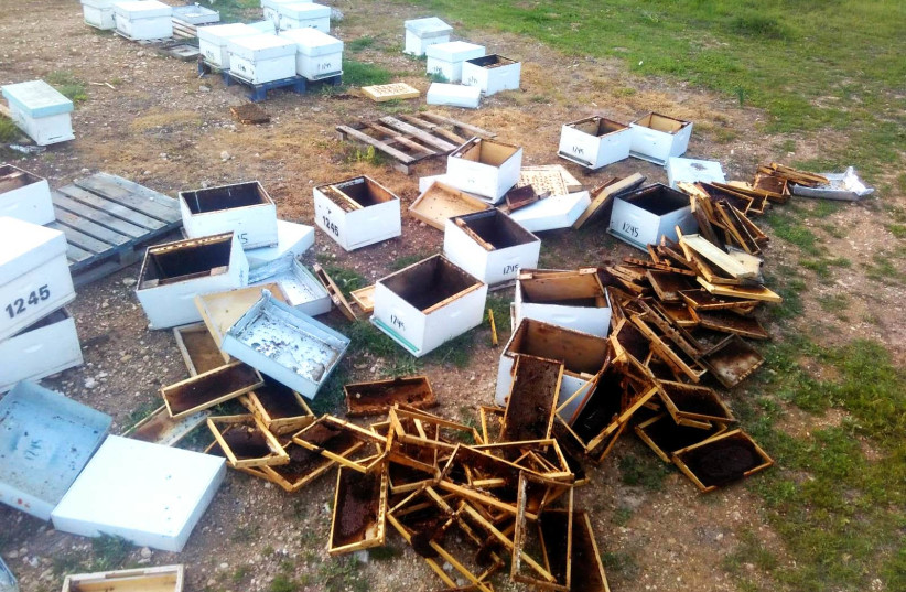 Honeycombs which were broken into in July 2020 in the south of the country (photo credit: HONEY COUNCIL)