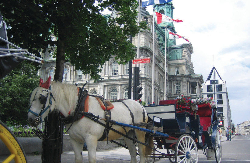 A COLORFUL horse-drawn carriage waits outside Montreal City Hall.  (photo credit: GEORGE MEDOVOY)