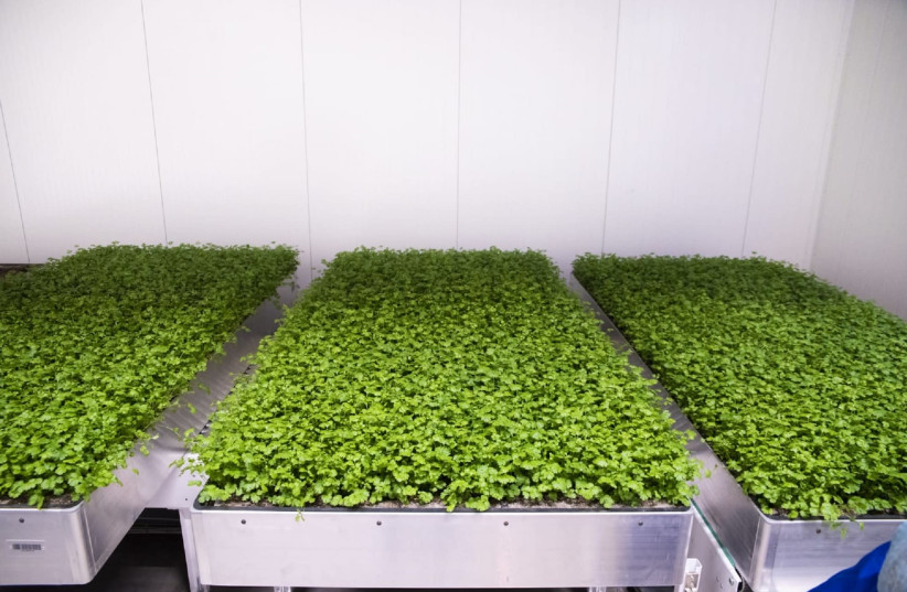 Future Crops will set up a farm to grow vertical agriculture in the UAE (photo credit: Courtesy)