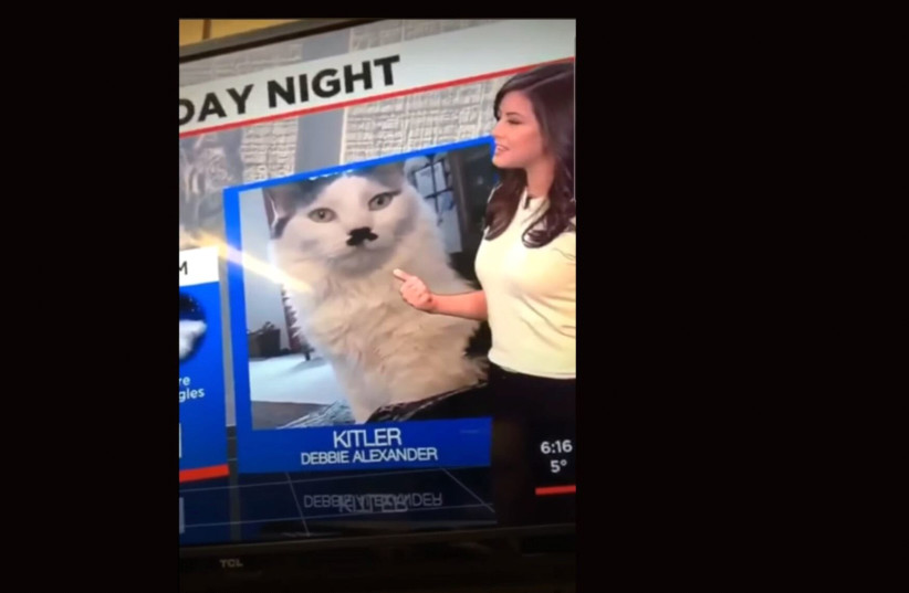 Alena Lee gave a shoutout to "Kitler" on her Saturday night weather broadcast. She apologized the next day.  (photo credit: JTA)