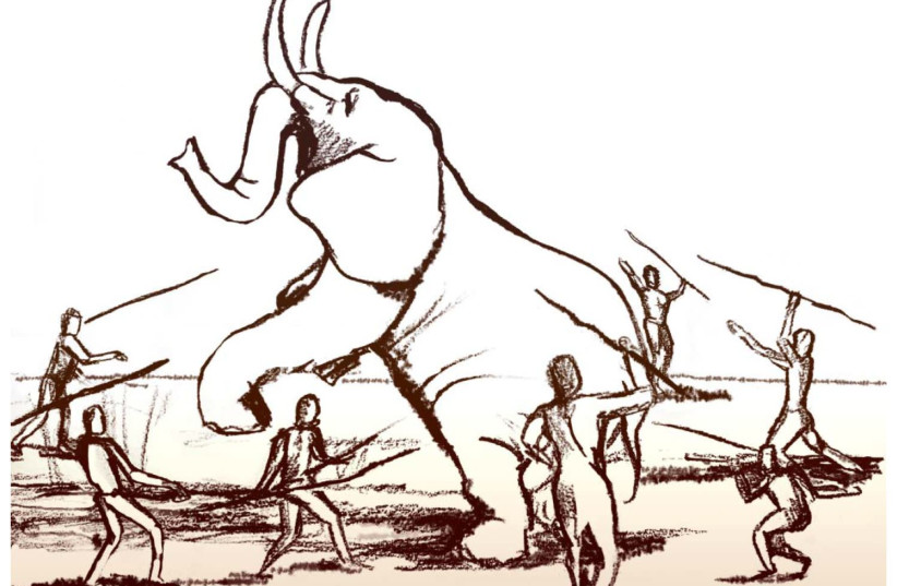 Elephant hunting illustrations (photo credit: DANA ACKERFELD)