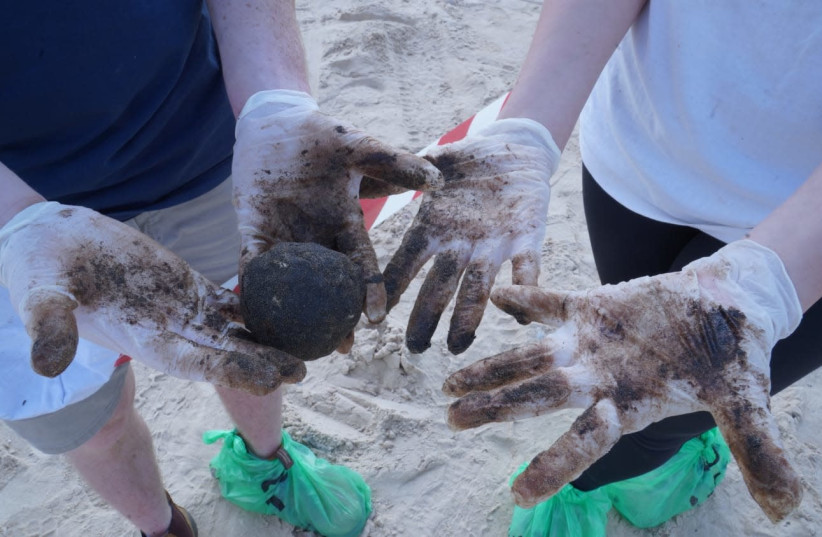 Volunteers at Tirat Carmel clean the tar from the beach (photo credit: ELAD YAAKOV/ GPO)