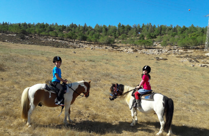 Horseback riding in the Yatir Region  (photo credit: YATIR REGION TOURISM)