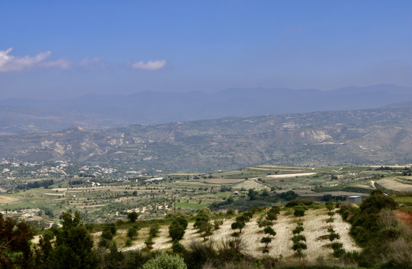 Cyprus vineyard. (credit: HADASSAH BRENNER)