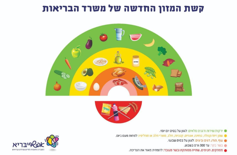 The Health Ministry's new chart on healthy food consumption. (photo credit: HEALTH MINISTRY)