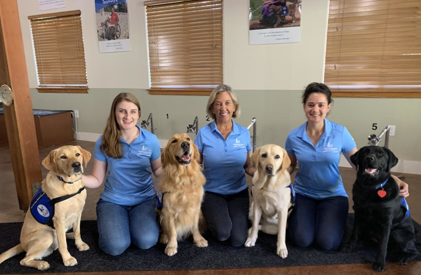 Israeli volunteer Sarit Brinn (left) with Assistance Dogs of Hawaii Executive Director Maureen Maurer and another ADH volunteer with a team of dogs  that are training to sniff out COVID. (credit: Courtesy)