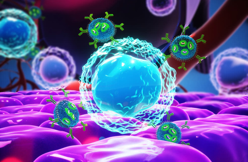 An RNA drug is seen being delivered, targeting infected cells (Illustrative). (photo credit: TEL AVIV UNIVERSITY)