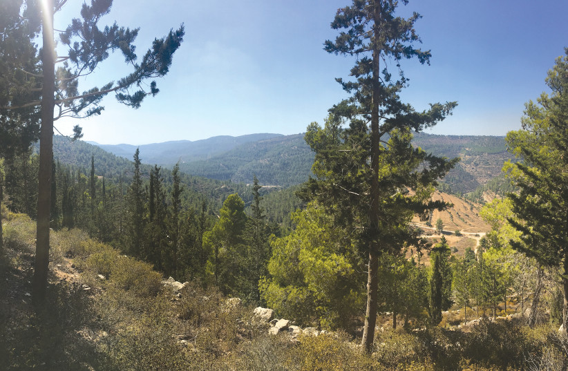 SHVIL HAMAAYANOT est un sentier de randonnée populaire près de Jérusalem, avec une vue imprenable sur les montagnes de Judée sur une grande partie de sa longueur et plusieurs sources le long du sentier.  Le départ de la randonnée se situe à seulement 20 minutes à pied de Hadassah Ein Kerem.  (crédit : ARNOLD SLYPER)