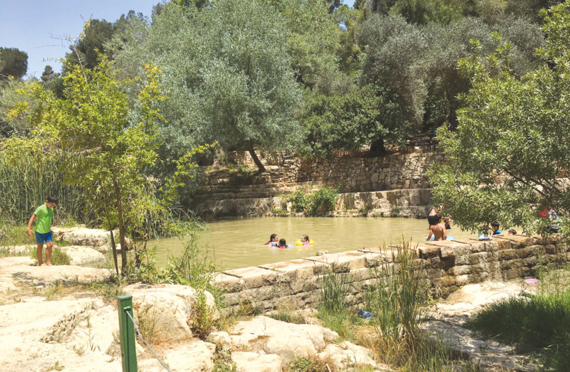 EIN HEMED National Park (Aqua Bella) is perfect for a family outing. The kids will enjoy swimming in the pool  and playing on the lawns, with ruins of a fortified Crusader farmhouse to explore. (credit: ARNOLD SLYPER)