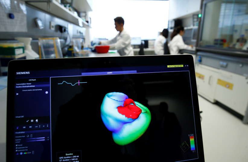 3D image of a heart in a cardiology test (photo credit: REUTERS)