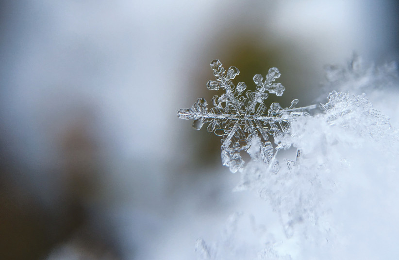  Snow will be the focus of a special expo at the Givat Ram Botanical Gardens (photo credit: Aaron Burden/Unsplash)