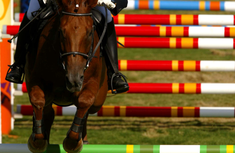Photo of Deutscher Olympiatrainer wegen Schlagens des Pferdes disqualifiziert