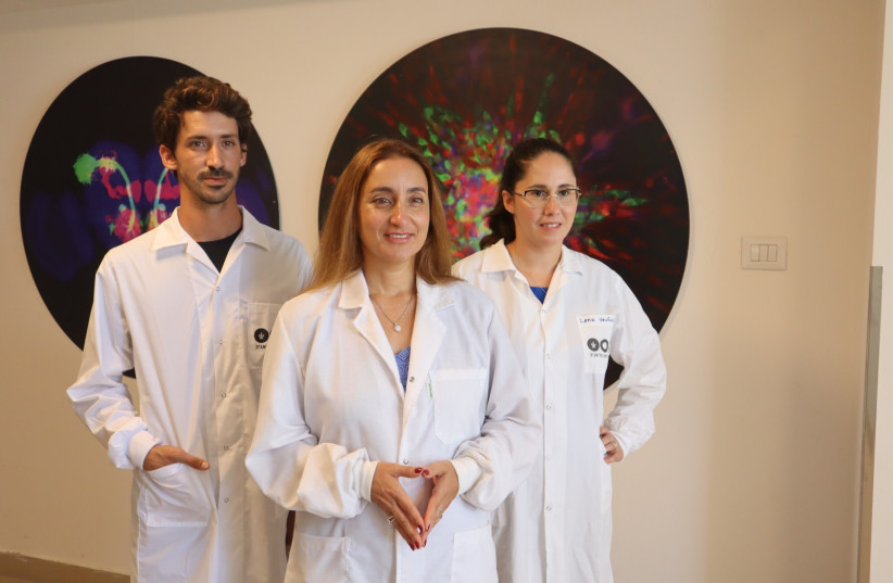  (Left to right): Eilam Yeini, Prof. Satchi-Fainaro and Lena Neufeld. (credit: TEL AVIV UNIVERSITY)