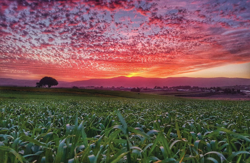  Sunset at the Jezreel Valley. (photo credit: Ben Pershitz)