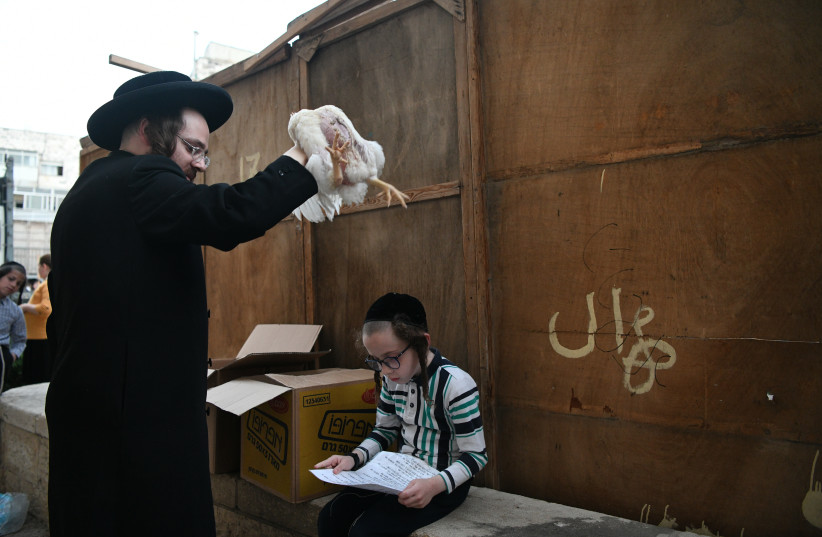  Ultra Orthodox Jews perform the Kaparot ceremony on September 12, 2021, in the ultra orthodox Jewish neighborhood of Meah Shearim. The Jewish ritual is supposed to transfer the sins of the past year to the chicken, and is performed before the Day of Atonement, or Yom Kippur, the most important day  (credit: ARIE LEIB ABRAMS/FLASH 90)