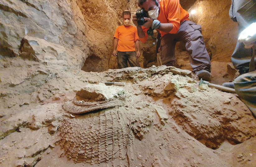  THE BASKET as found in Muraba‘at Cave.  (credit: YOLI SCHWARTZ/IAA)
