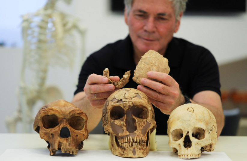 TAU PROF. Israel Hershkovitz holds what scientists say are fossilized bone fragments of a previously unknown kind of early human discovered at the Nesher Ramla site, June 23.   (credit: AMMAR AWAD/REUTERS)