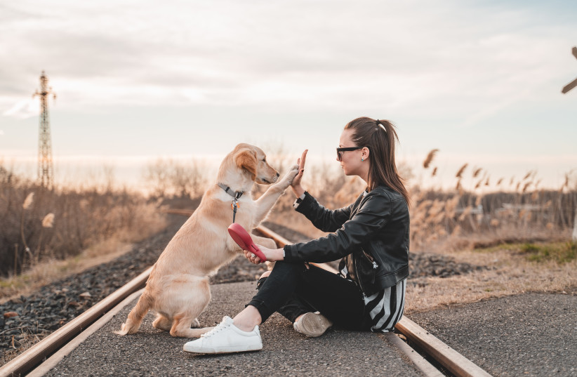  THERE ARE occasionally dogs I come to like. (credit: RICHARD BRUTYO/UNSPLASH)